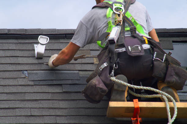 Best Roof Gutter Cleaning  in South Corning, NY