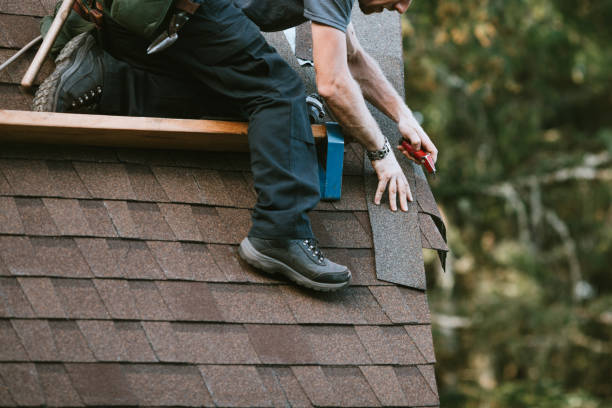 Best Roof Maintenance Services  in South Corning, NY